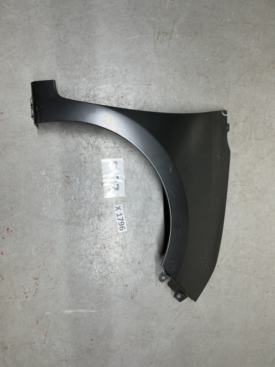 HYUNDAI I10 IA BA 14- KOTFLÜGEL VORNE RECHTS ORIGINAL NEU 66321-B9000                                           B22/X1796