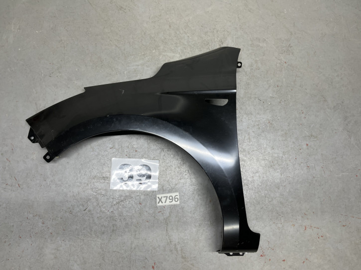 HYUNDAI I20 PB 12- KOTFLÜGEL VORNE LINKS NEU 66311-1J550                        39/X796